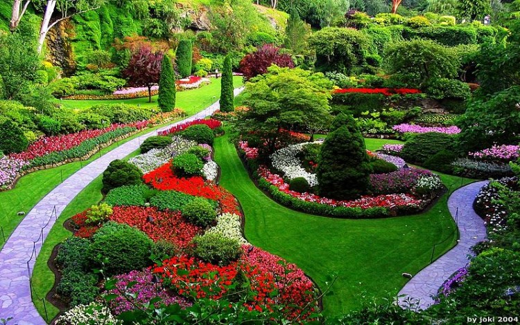 jardinería y paisajismo profesional